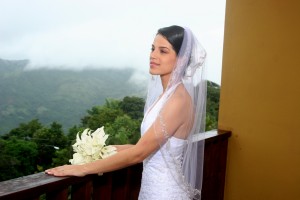 img_003511